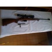 CZ 527 223 rem. + Meopta 7x50