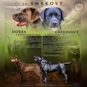 štěňata labradora z pracovní linie s průkazem původu